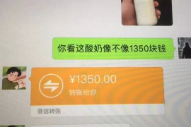 嘉峪关遇到恶意拖欠？专业追讨公司帮您解决烦恼